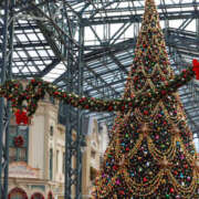 ヒメ日記 2025/11/24 09:26 投稿 まほ New Sky