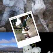 ヒメ日記 2026/03/27 22:21 投稿 のどか 土浦人妻浮気現場