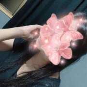 ヒメ日記 2025/07/09 00:29 投稿 とあ 私立にじいろ女学園～横浜校～