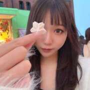 とあ ふわふわ🫧 私立にじいろ女学園～横浜校～