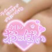 ヒメ日記 2025/02/05 07:30 投稿 きうい 五反田サンキュー