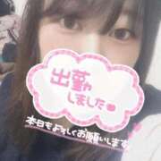 ヒメ日記 2025/03/07 07:30 投稿 きうい 五反田サンキュー