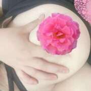 ヒメ日記 2025/05/26 10:30 投稿 きうい 五反田サンキュー