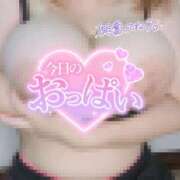 ヒメ日記 2025/08/14 21:20 投稿 きうい 五反田サンキュー