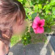 ヒメ日記 2025/08/06 11:46 投稿 松井 樹里 プルプルオフィスディーバ