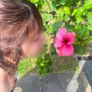 ヒメ日記 2026/03/27 09:05 投稿 松井 樹里 プルプルオフィスディーバ