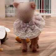 ヒメ日記 2026/03/27 18:54 投稿 松井 樹里 プルプルオフィスディーバ