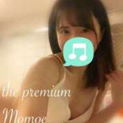 Momoe 非日常のこと THE PREMIUM （プレミアム）