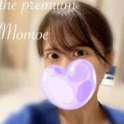 Momoe 葛藤すること THE PREMIUM （プレミアム）