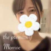Momoe 揺らぎのこと THE PREMIUM （プレミアム）