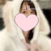 Momoe 積読を解消しつつあること THE PREMIUM （プレミアム）