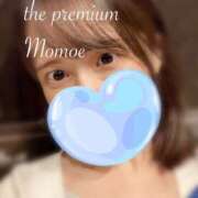 Momoe 大人になること THE PREMIUM （プレミアム）