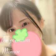 Momoe 本物のこと THE PREMIUM （プレミアム）