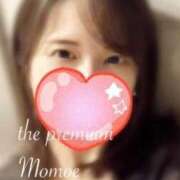 Momoe 反芻すること THE PREMIUM （プレミアム）