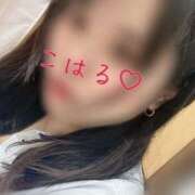 ヒメ日記 2024/12/18 15:15 投稿 こはる 宮崎ちゃんこ都城店