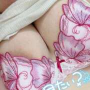 ヒメ日記 2024/12/28 11:25 投稿 こはる 宮崎ちゃんこ都城店