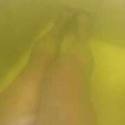 ヒメ日記 2025/02/17 22:15 投稿 こはる 宮崎ちゃんこ都城店