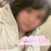 ヒメ日記 2025/03/13 10:25 投稿 こはる 宮崎ちゃんこ都城店