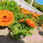 ヒメ日記 2025/03/14 22:16 投稿 こはる 宮崎ちゃんこ都城店