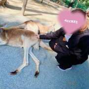 ヒメ日記 2025/03/18 16:05 投稿 こはる 宮崎ちゃんこ都城店