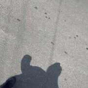 ヒメ日記 2025/03/26 15:15 投稿 こはる 宮崎ちゃんこ都城店