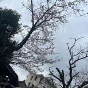 ヒメ日記 2025/03/28 15:05 投稿 こはる 宮崎ちゃんこ都城店