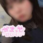 ヒメ日記 2025/03/30 14:15 投稿 こはる 宮崎ちゃんこ都城店