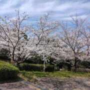 ヒメ日記 2025/03/31 19:15 投稿 こはる 宮崎ちゃんこ都城店