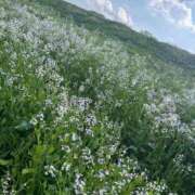 ヒメ日記 2025/04/04 16:05 投稿 こはる 宮崎ちゃんこ都城店