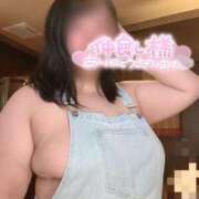 ヒメ日記 2025/04/11 09:06 投稿 こはる 宮崎ちゃんこ都城店