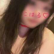 ヒメ日記 2025/04/11 16:15 投稿 こはる 宮崎ちゃんこ都城店