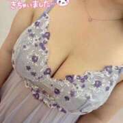 ヒメ日記 2025/04/19 12:09 投稿 こはる 宮崎ちゃんこ都城店