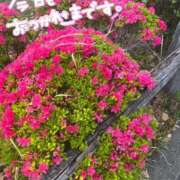 ヒメ日記 2025/04/19 20:43 投稿 こはる 宮崎ちゃんこ都城店