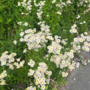 ヒメ日記 2025/04/28 13:05 投稿 こはる 宮崎ちゃんこ都城店