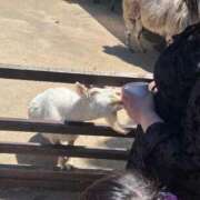 ヒメ日記 2025/05/05 13:25 投稿 こはる 宮崎ちゃんこ都城店