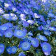 ヒメ日記 2025/05/19 17:45 投稿 こはる 宮崎ちゃんこ都城店