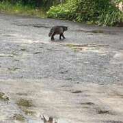 ヒメ日記 2025/05/20 16:36 投稿 こはる 宮崎ちゃんこ都城店