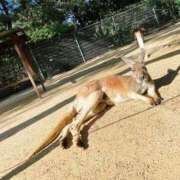 ヒメ日記 2025/05/23 19:21 投稿 こはる 宮崎ちゃんこ都城店