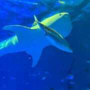 ヒメ日記 2025/05/26 20:05 投稿 こはる 宮崎ちゃんこ都城店