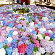 ヒメ日記 2025/05/29 15:35 投稿 こはる 宮崎ちゃんこ都城店