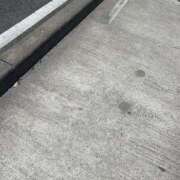 ヒメ日記 2025/06/04 14:44 投稿 こはる 宮崎ちゃんこ都城店