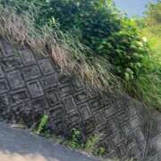 ヒメ日記 2025/06/05 16:18 投稿 こはる 宮崎ちゃんこ都城店