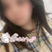 ヒメ日記 2025/06/18 11:05 投稿 こはる 宮崎ちゃんこ都城店