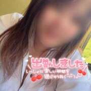 ヒメ日記 2025/06/28 12:05 投稿 こはる 宮崎ちゃんこ都城店