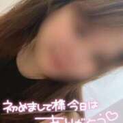 ヒメ日記 2025/06/29 11:05 投稿 こはる 宮崎ちゃんこ都城店