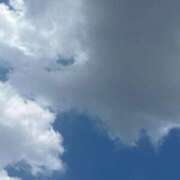 ヒメ日記 2025/06/30 15:15 投稿 こはる 宮崎ちゃんこ都城店