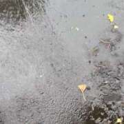 ヒメ日記 2025/07/18 15:05 投稿 こはる 宮崎ちゃんこ都城店