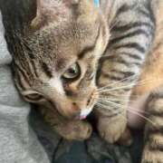 ヒメ日記 2025/08/26 15:15 投稿 こはる 宮崎ちゃんこ都城店