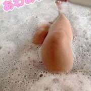 ヒメ日記 2025/08/31 20:16 投稿 こはる 宮崎ちゃんこ都城店