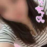 ヒメ日記 2025/09/19 07:35 投稿 こはる 宮崎ちゃんこ都城店